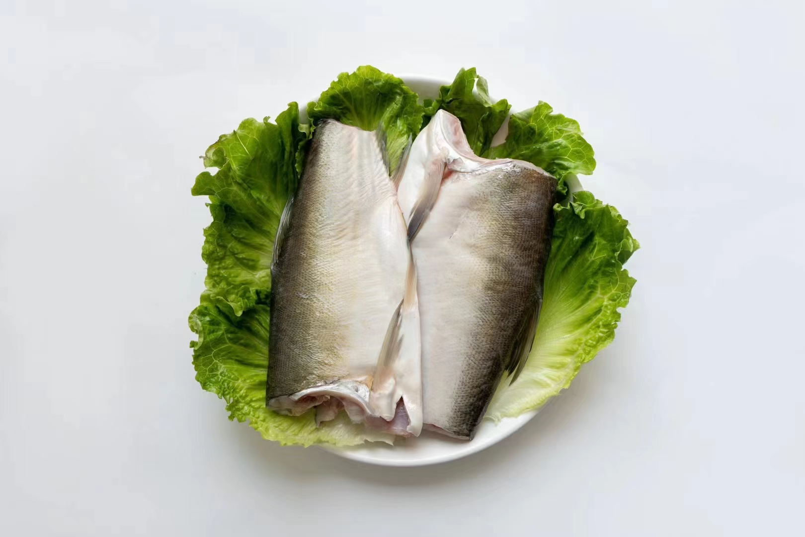 鱼腩